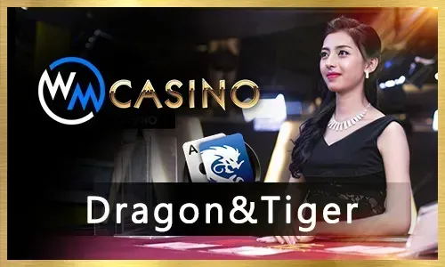Sports Betting at KKJILI Casino